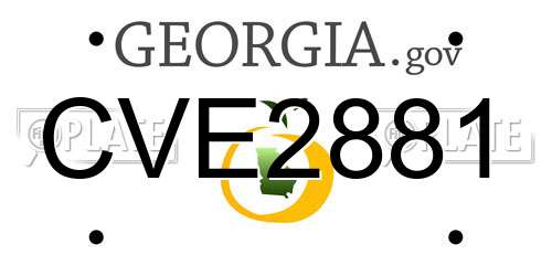 CVE2881 Georgia License Plate