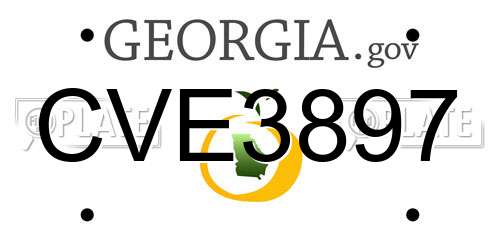 CVE3897 Georgia License Plate