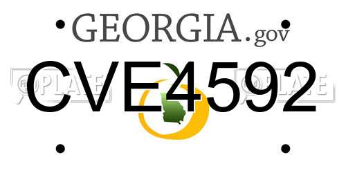 CVE4592 Georgia License Plate