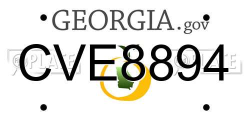 CVE8894 Georgia License Plate