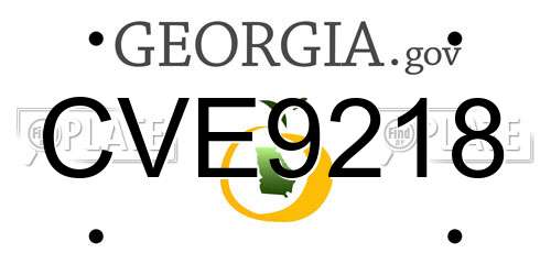 CVE9218 Georgia License Plate