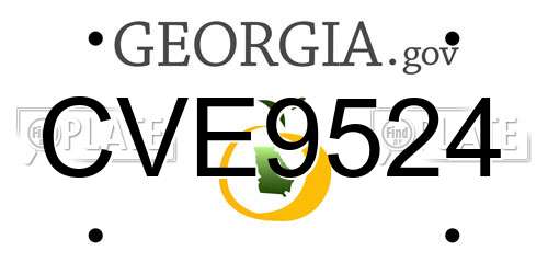 CVE9524 Georgia License Plate