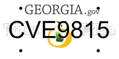 CVE9815 Georgia License Plate