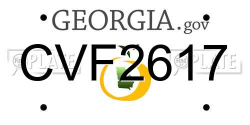 CVF2617 Georgia License Plate