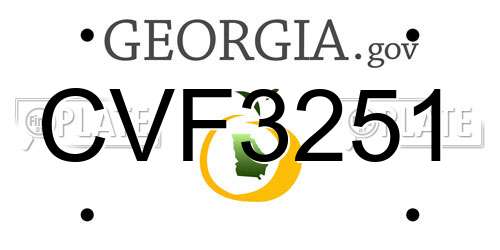 CVF3251 Georgia License Plate