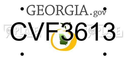 CVF3613 Georgia License Plate