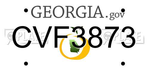 CVF3873 Georgia License Plate