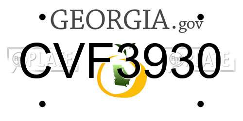 CVF3930 Georgia License Plate