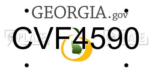 CVF4590 Georgia License Plate