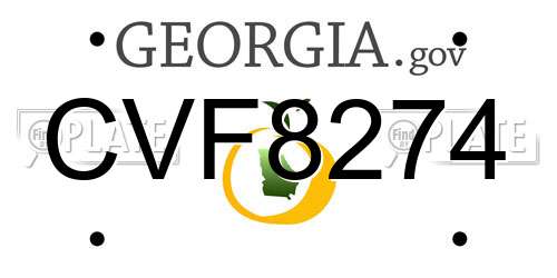 CVF8274 Georgia License Plate