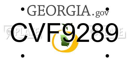 CVF9289 Georgia License Plate