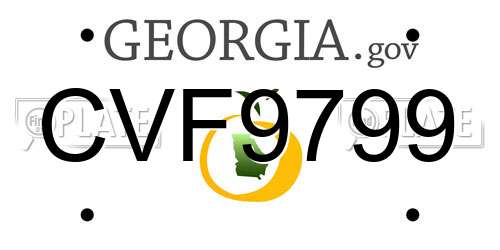 CVF9799 Georgia License Plate