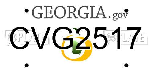 CVG2517 Georgia License Plate