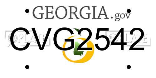 CVG2542 Georgia License Plate
