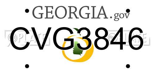 CVG3846 Georgia License Plate