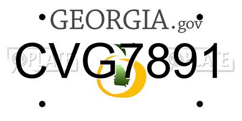 CVG7891 Georgia License Plate