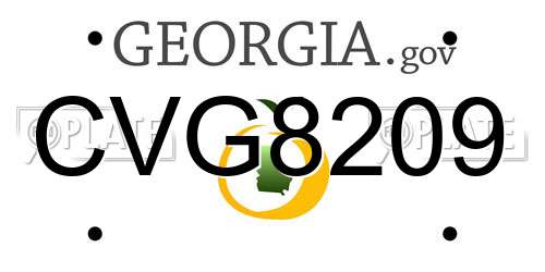 CVG8209 Georgia License Plate