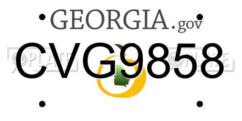 CVG9858 Georgia License Plate