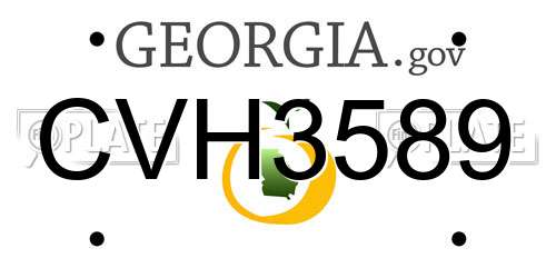 CVH3589 Georgia License Plate