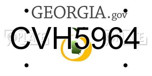 CVH5964 Georgia License Plate