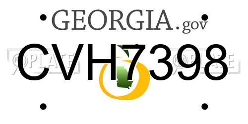 CVH7398 Georgia License Plate