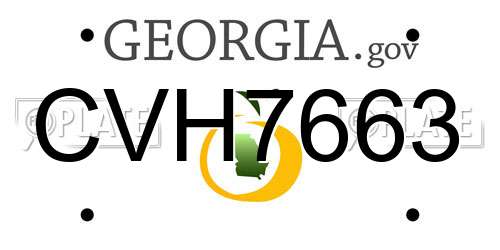 CVH7663 Georgia License Plate