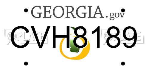 CVH8189 Georgia License Plate