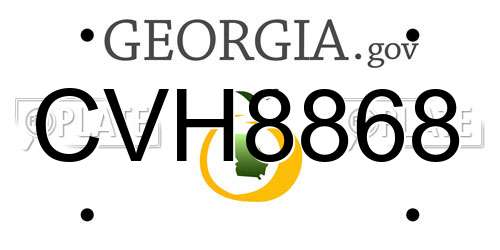 CVH8868 Georgia License Plate