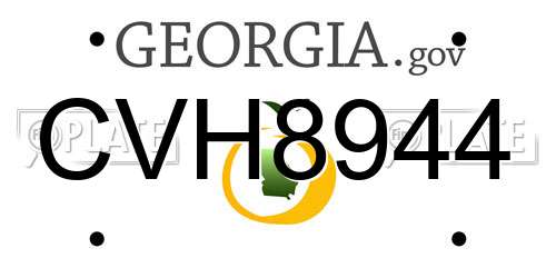 CVH8944 Georgia License Plate