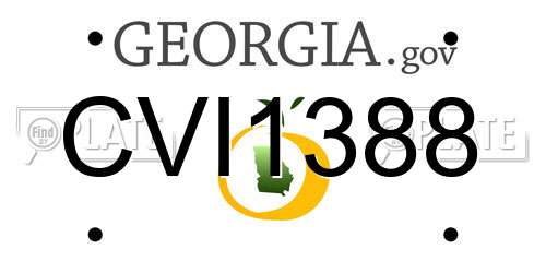 CVI1388 Georgia License Plate