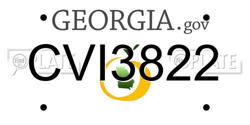 CVI3822 Georgia License Plate