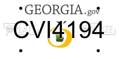 CVI4194 Georgia License Plate