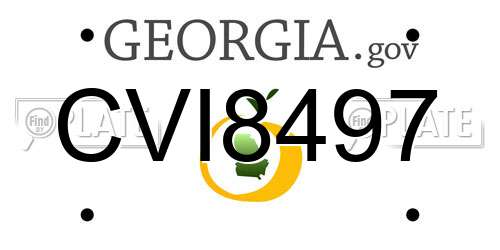 CVI8497 Georgia License Plate