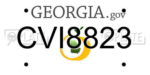 CVI8823 Georgia License Plate