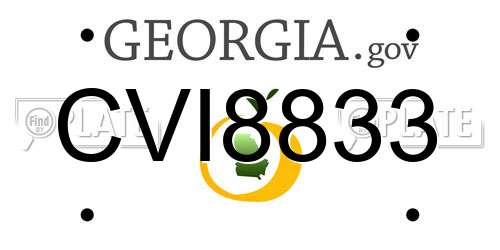 CVI8833 Georgia License Plate