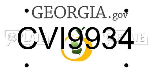 CVI9934 Georgia License Plate
