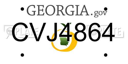 CVJ4864 Georgia License Plate