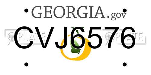 CVJ6576 Georgia License Plate
