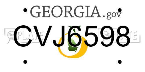 CVJ6598 Georgia License Plate
