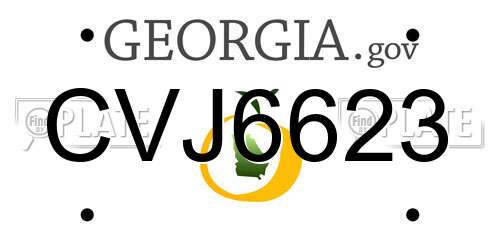 CVJ6623 Georgia License Plate