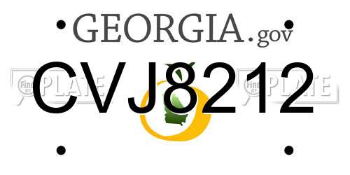 CVJ8212 Georgia License Plate