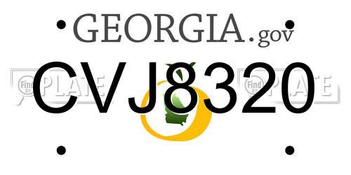 CVJ8320 Georgia License Plate