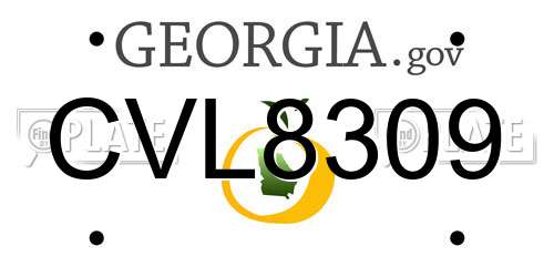 CVL8309 Georgia License Plate