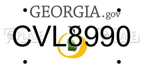 CVL8990 Georgia License Plate