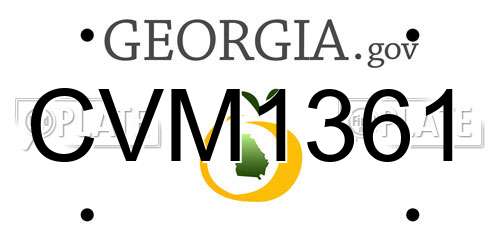 CVM1361 Georgia License Plate