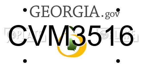 CVM3516 Georgia License Plate