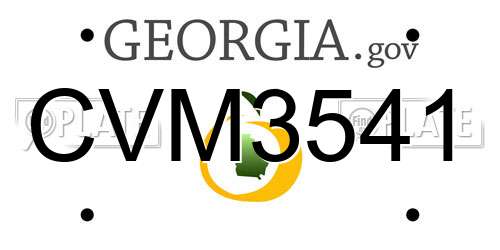 CVM3541 Georgia License Plate