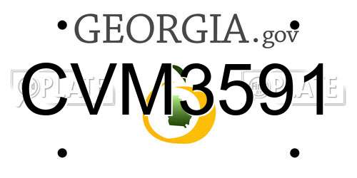 CVM3591 Georgia License Plate