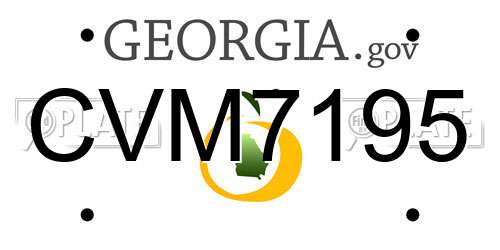 CVM7195 Georgia License Plate