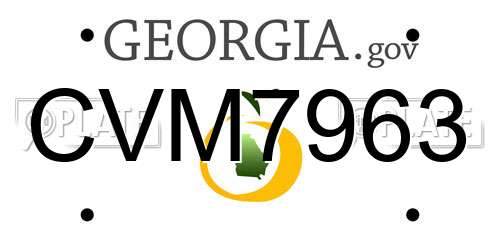 CVM7963 Georgia License Plate